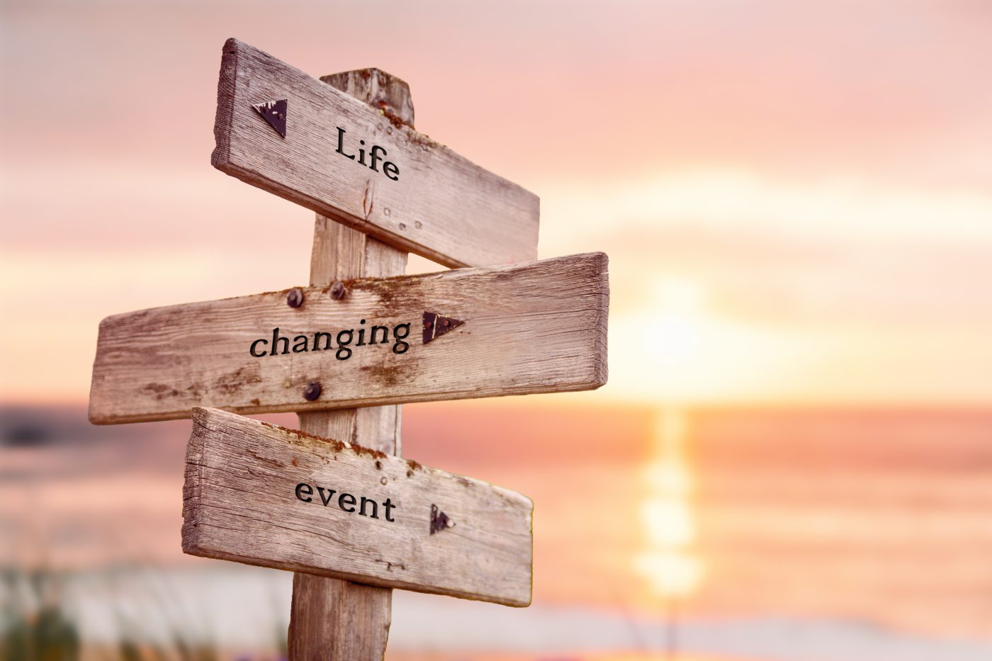 Guiding Life Changes: The Role of a Financial Advisor